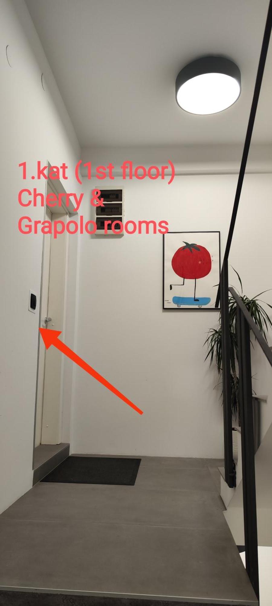 Pomodoro *